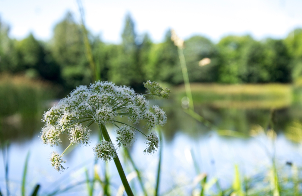 Matsvinn - mäta, rapportera och minska